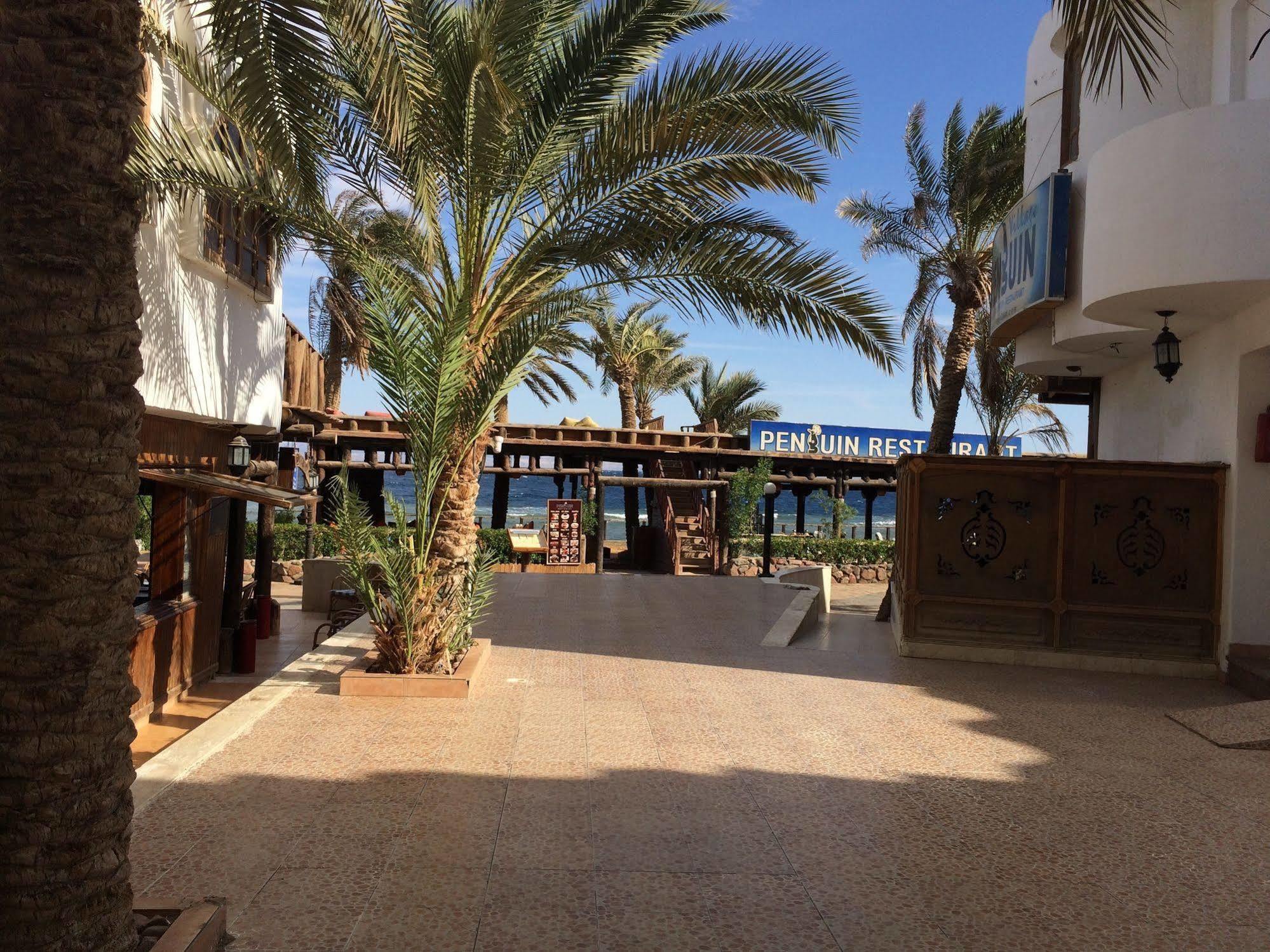 Penguin Village Dahab Exterior photo